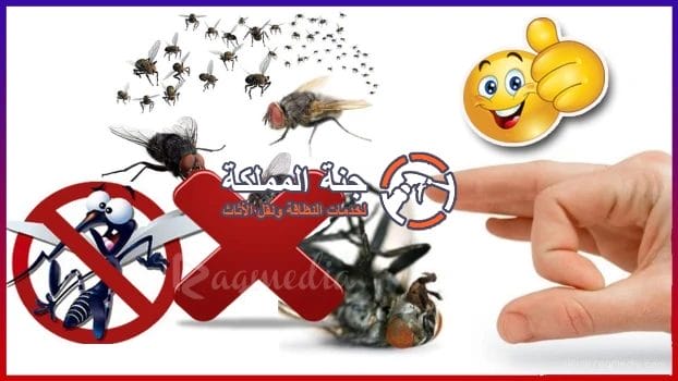 شركة مكافحة الذباب بالرياض
